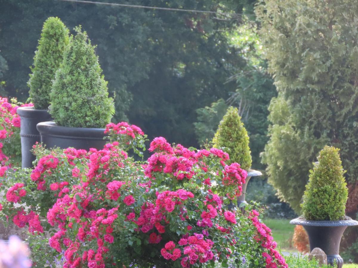 Noan Country House B&B Cashel (Tipperary) Exterior foto