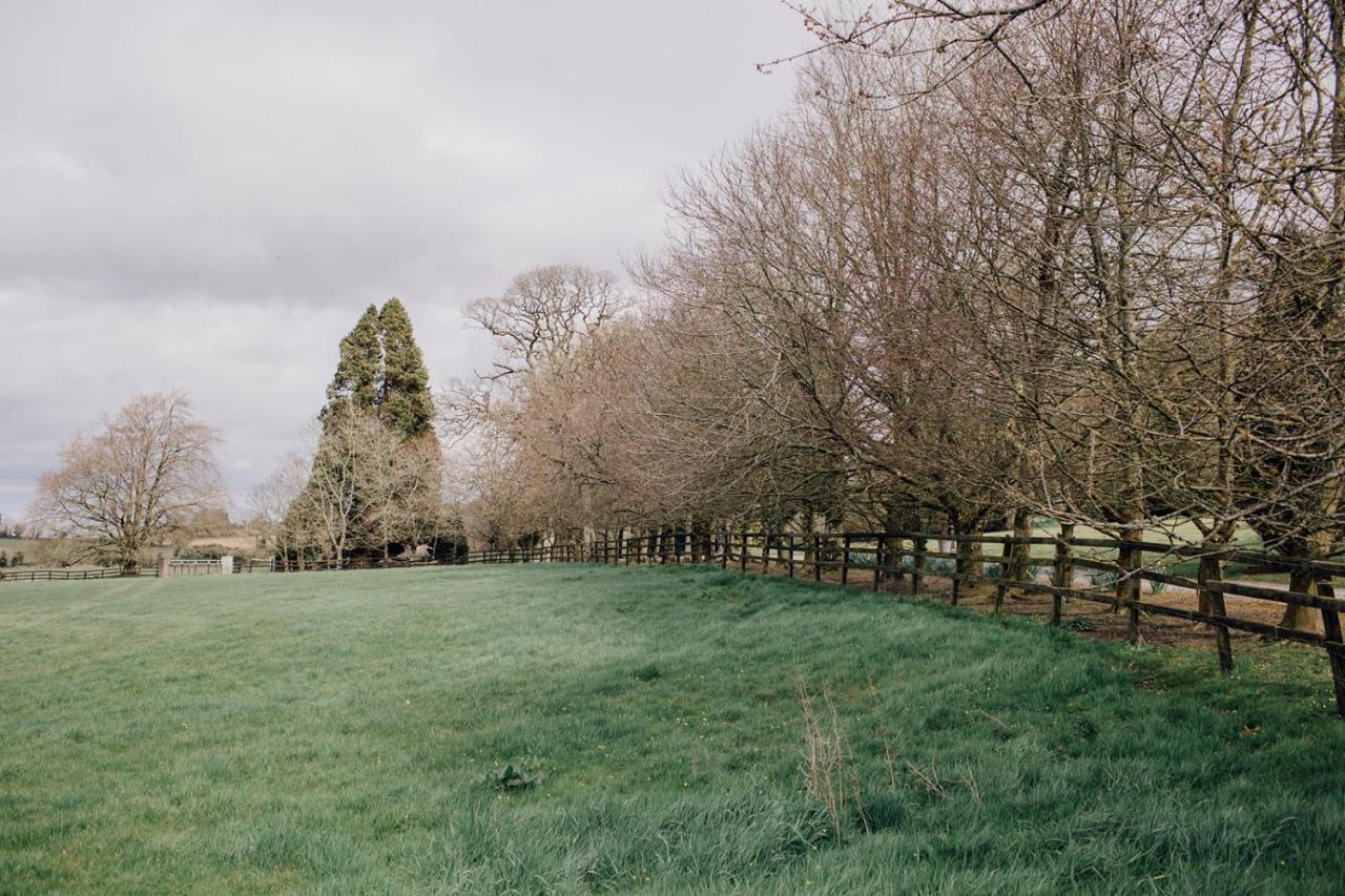 Noan Country House B&B Cashel (Tipperary) Exterior foto